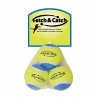 Fetch & Catch Tennis Balls for Dogs