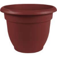 Bloem Ariana 12 In. Plastic Self Watering Burnt Red Planter AP1213