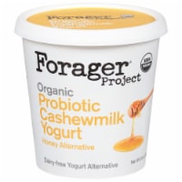 Forager Project® Organic Probiotic Vegan Honey Cashewmilk Dairy Free Yogurt
