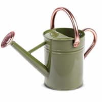 Gardman R34882X 1 gal Watering Can, Green & Copper