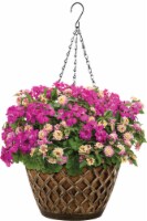 AquaSav Franza Hanging Basket with Chain - Gold Perspective: Main
