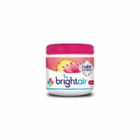 BRIGHT Air® FRESHENER,ODOR,ISL NEC,PK BRI 900114