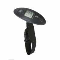Aws GO-110 Hanging Scale