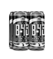 Old Nation Seasonal IPA Perspective: Main