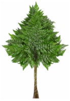 Leather Leaf Spray