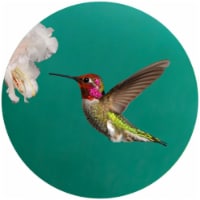 Andreas JO-CAH Custom Annas Hummingbird Jar Opener - 3 Pack Perspective: Main