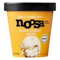 Noosa Honey Vanilla Frozen Yogurt Gelato