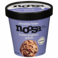 Noosa Chocolate Fudge Frozen Yoghurt Gelato