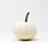 Pumpkin Patch Pals Casper White Ornamental Pumpkin - Each