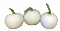 Bay Baby Produce Snowbaby Pumpkin - White Perspective: Main