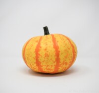 Pumpkin Patch Pals Royalty Ornamental Pumpkin Perspective: Main