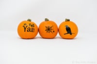 Pumpkin Patch Pals Silhouette Painted Pumpkin Perspective: Main