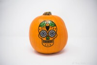 Skull Painted Pumpkin Perspective: Main