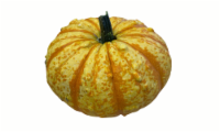 Pumpkin Patch Pals Jester Pumpkin Perspective: Main