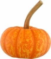 Pumpkin Patch Pals Orange Sparkler Ornamental Pumpkin - Each