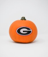 Pumpkin Patch Pals College Football Painted Logo Pumpkin - Each Perspective: Main