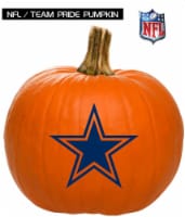 Pumpkin Patch Pals Dallas Cowboys Painted Pumpkin - Each Perspective: Main