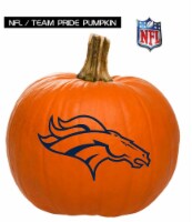 Pumpkin Patch Pals Denver Broncos Painted Pumpkin - Each