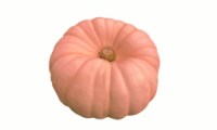 Pumpkin Patch Pals Pink Princess Decorative Pumpkin Perspective: Main