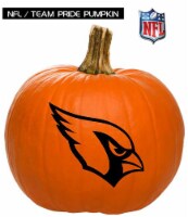 Pumpkin Patch Pals Arizona Cardinals Painted Pumpkin - Each Perspective: Main