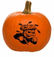 Pumpkin Patch Pals Wichita State Shockers Painted Pumpkin - Each