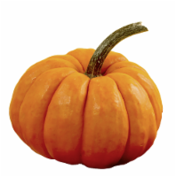 Pumpkin Patch Pals Tango Orange Ornamental Pumpkin Perspective: Main
