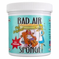 Bad Air Sponge The Original