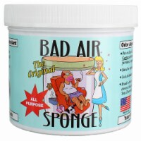 Bad Air The Original All-Purpose Sponge, 30 oz
