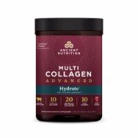 Ancient Nutrition Multi Collagen Advanced Hydrate - Berry Flavor Powder Perspective: Main