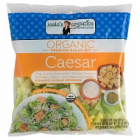 Josie's Organics Ceasar Premium Salad Kit Perspective: Main