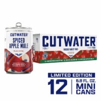 Cutwater Fireside Variety Pack Perspective: Main