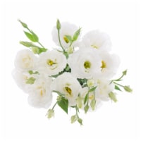 Super Bloom Lisianthus Perspective: Main