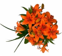 Assorted Lily Flower Bouquet