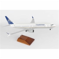 Skymarks Supreme SKR8264 Copa 737 - MAX9 1 by 100 with Wood Stand & Gear