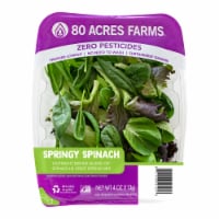 80 Acres Farms Springy Spinach Salad Blend Perspective: Main