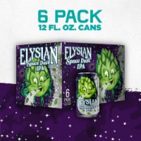 Elysian Space Dust Craft IPA Beer Perspective: Main