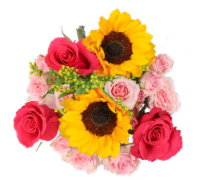 Citrus Celebration Fresh Cut Flower Bouquet Perspective: Main