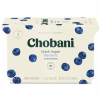 Chobani® Non-Fat Blueberry on the Bottom Greek Yogurt