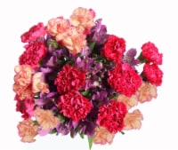 In Full Bloom Upscale Carnation Bouquet Perspective: Main