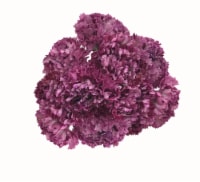 Assorted Carnation Bunch Perspective: Main