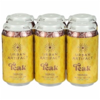 Urban Artifact Teak Tropical Fruit Beer Perspective: Main