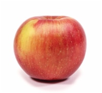 EverCrisp Large Apple Perspective: Main