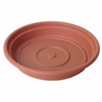 Bloem Dura Cotta Indoor/ Outdoor Plant Saucer, Terra Cotta - 6  Rim, 4.5  Base