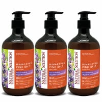 Hand Soap, Made With Himalayan Pink Salt & Lavender Extracts, 14 Oz (Pack Of 3)