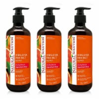 Natural Solution Body Wash, Refreshing & Balancing, Organic Blood Orange - Pack of 3