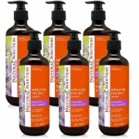 Natural Solution Body Wash, Organic Lavender Oil, Relax & Purify Skin Deeply - Pack of 6