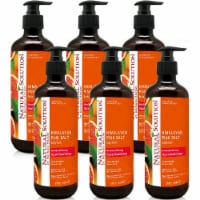Natural Solution Body Wash, Purifying Pink Salt, Best for All Skin Types, Blood Orange–Pack 6