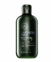 Teatree Lavender Mint Moisturizing Shampoo Perspective: Main
