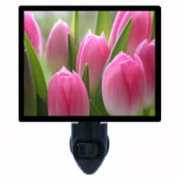 Spring Flower Decorative Photo Night Light. Pink Tulips. Free Extra Picture For Lights.