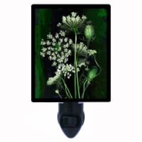 Flower Decorative Photo Night Light. Queen Anne's Lace. Free Extra Picture For Lights.